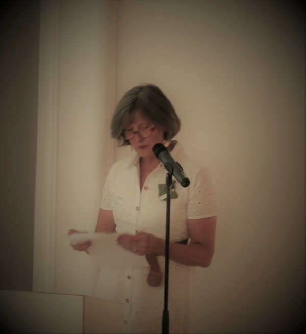 <?= $alt?>